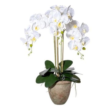 Kunst Phalaenopsis Orchidee FRIMTOR im Terracottatopf, Wurzeln, weiß, 75cm