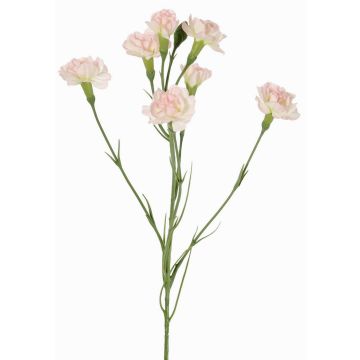 Dekozweig Nelke PIARA, zartrosa, 60cm, Ø3-5cm Dekozweig Nelke PIARA, zartrosa, 60cm, Ø3-5cm