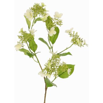 Kunstzweig Hortensie KATHANI, weiß-grün, 80cm, Ø10-13cm Kunstzweig Hortensie KATHANI, weiß-grün, 80cm, Ø10-13cm