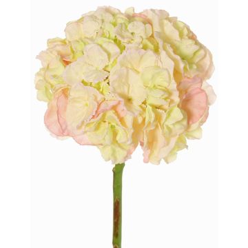 Künstliche Hortensie LIRLAFY, grün-rosa, 65cm, Ø20cm Künstliche Hortensie LIRLAFY, grün-rosa, 65cm, Ø20cm