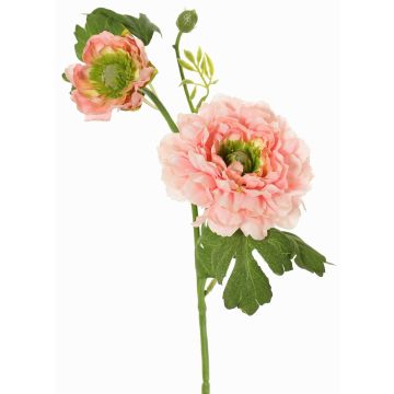 Kunst Ranunkel SAGARA, rosa-grün, 45cm, Ø5-9cm Kunst Ranunkel SAGARA, rosa-grün, 45cm, Ø5-9cm