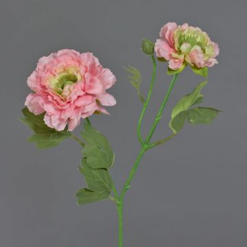Kunst Ranunkel SAGARA, rosa-grün, 45cm, Ø5-9cm
