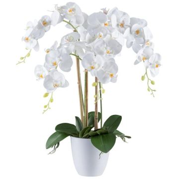 Kunst Phalaenopsis Orchidee BLENTOR im Melamin-Übertopf, Wurzeln, weiß, 60cm