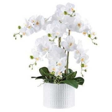 Kunst Phalaenopsis Orchidee TOUNI, Keramiktopf, Wurzeln, weiß, 60cm Kunst Phalaenopsis Orchidee TOUNI, Keramiktopf, Wurzeln, weiß, 60cm