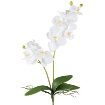 Kunstblume Phalaenopsis Orchidee KRUZBER, Steckstab, Wurzeln, weiß, 55cm