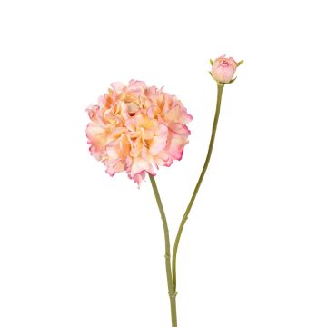 Kunstzweig Ranunkel ANDIHLIA, dunkelrosa, 60cm