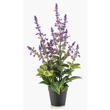 Künstliche Kräuter Salbei SWORTA im Dekotopf, Blüten, lavendel, 45cm