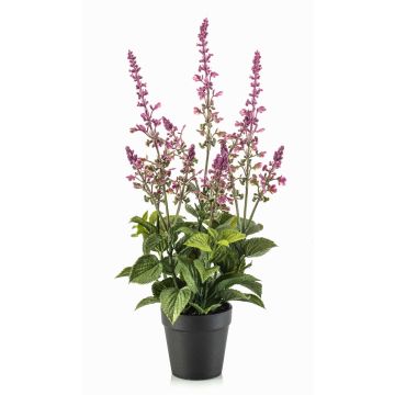 Künstliche Kräuter Salbei SWORTA im Dekotopf, Blüten, mauve, 45cm Künstliche Kräuter Salbei SWORTA im Dekotopf, Blüten, mauve, 45cm