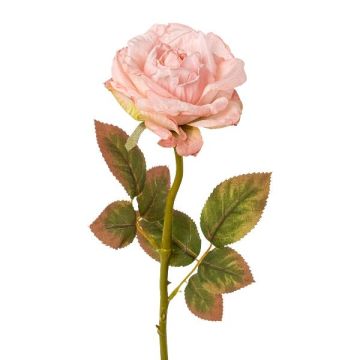Deko Blume Rose DRINT, Trockenoptik, rosa, 60cm, Ø10,5cm