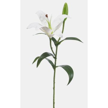 Künstliche Blume Tigerlilie MIXLON, weiß, 55cm, Ø13cm Künstliche Blume Tigerlilie MIXLON, weiß, 55cm, Ø13cm