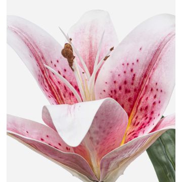 Künstliche Blume Tigerlilie MIXLON, pink-weiß, 55cm, Ø13cm Künstliche Blume Tigerlilie MIXLON, pink-weiß, 55cm, Ø13cm
