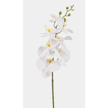 Phalaenopsis Orchideenzweig künstlich AXELOR, weiß, 85cm