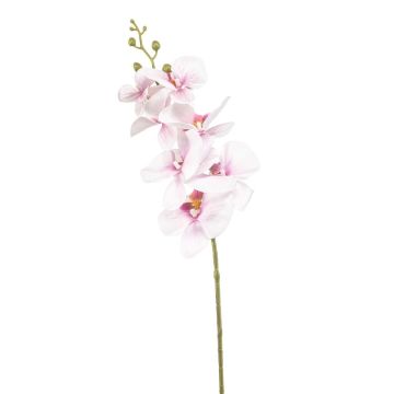 Phalaenopsis Orchideenzweig künstlich AXELOR, weiß-rosa, 85cm
