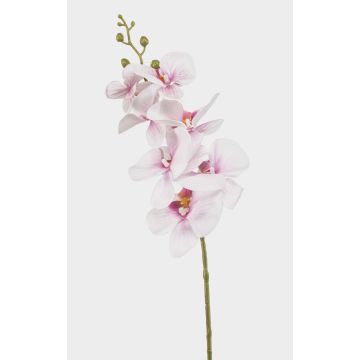 Phalaenopsis Orchideenzweig künstlich AXELOR, weiß-rosa, 85cm