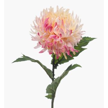 Chrysantheme künstlich SAXLER, rosa-pink-weiß, 60cm, Ø12cm