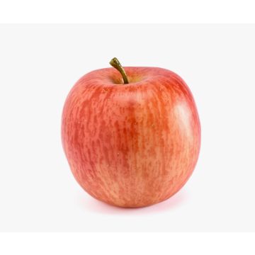 Künstliches Obst Apfel AMENDO, rot-gelb, 6,5cm, Ø7,5cm Künstliches Obst Apfel AMENDO, rot-gelb, 6,5cm, Ø7,5cm