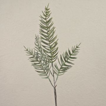 Dekozweig Zypresse ZOLTAN, gefroren, grün, 75cm