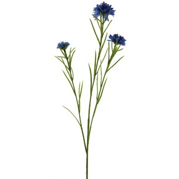 Dekoblumen Zweig Kornblume NAWEN, blau, 65cm, Ø3-5,5cm Dekoblumen Zweig Kornblume NAWEN, blau, 65cm, Ø3-5,5cm