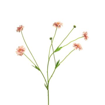Kunstzweig Flockenblume TAOTAO, hellrosa, 65cm, Ø4-5cm Kunstzweig Flockenblume TAOTAO, hellrosa, 65cm, Ø4-5cm