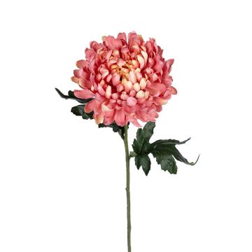 Dekoblume Chrysantheme ASAHLIA, rosa, 65cm Dekoblume Chrysantheme ASAHLIA, rosa, 65cm