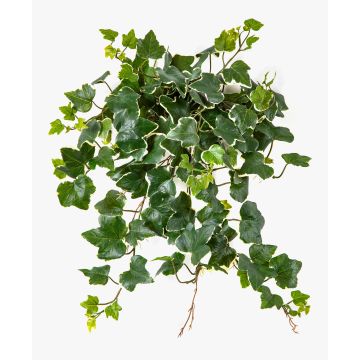 Künstlicher Efeu Hänger LINNEO auf Steckstab, crossdoor, grün-weiß, 50cm