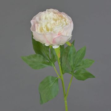 Plastikblume Pfingstrose SEDFY, creme-zartrosa, 60cm, Ø10cm
