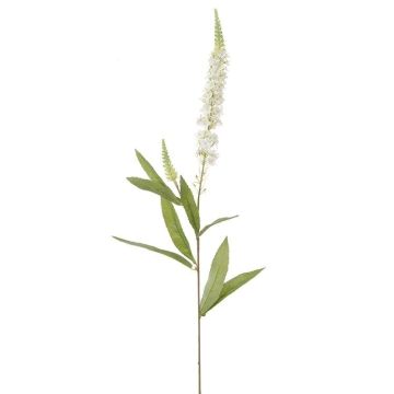 Kunstblume Ehrenpreis BANIALA, creme, 75cm Kunstblume Ehrenpreis BANIALA, creme, 75cm