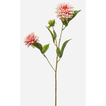 Künstlicher Zweig Dahlie CEVAST, rosa-creme, 70cm, Ø7-8cm Künstlicher Zweig Dahlie CEVAST, rosa-creme, 70cm, Ø7-8cm