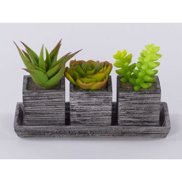 Kunststoffschaum Sukkulenten Gesteck SYLVIA in Dekotöpfe, grün, 19x7,5x11cm
