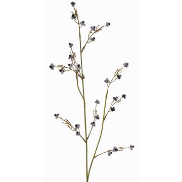 Deko Zweig Stirlingia latifolia COLLAN, schwarz-weiß, 75cm, Ø1cm Deko Zweig Stirlingia latifolia COLLAN, schwarz-weiß, 75cm, Ø1cm