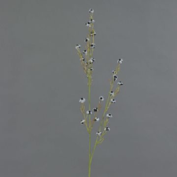 Deko Zweig Stirlingia latifolia COLLAN, schwarz-weiß, 75cm, Ø1cm