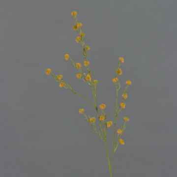 Deko Zweig Stirlingia latifolia COLLAN, orange-grün, 75cm, Ø1cm
