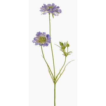 Kunst Scabiosa ANDIA, blau-lila, 80cm, Ø8-10cm Kunst Scabiosa ANDIA, blau-lila, 80cm, Ø8-10cm