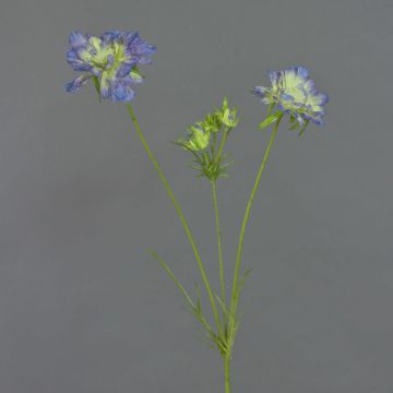 Kunst Scabiosa ANDIA, blau-lila, 80cm, Ø8-10cm