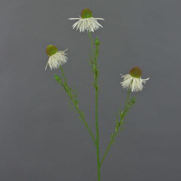 Kunst Sonnenhut Zweig CELIO, creme, 70cm, Ø6-7cm