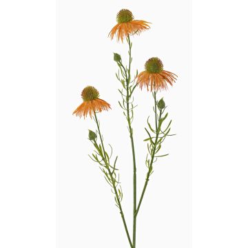 Kunst Sonnenhut Zweig CELIO, aprikose, 70cm, Ø6-7cm Kunst Sonnenhut Zweig CELIO, aprikose, 70cm, Ø6-7cm