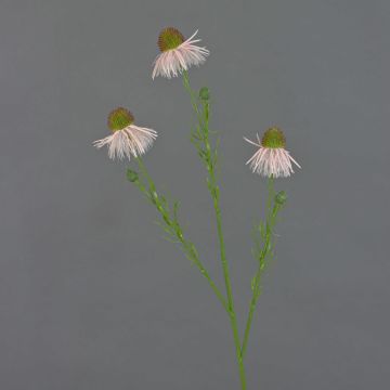 Kunst Sonnenhut Zweig CELIO, rosa, 70cm, Ø6-7cm