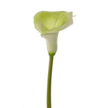 Calla Kunstblume MIRAC, grün-weiß, 75cm, 12x15cm