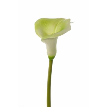 Calla Kunstblume MIRAC, grün-weiß, 75cm, 12x15cm