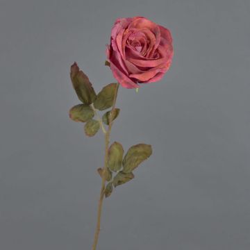 Kunstrose NAJMA, Trockenoptik, altrot-violett, 65cm, Ø10cm