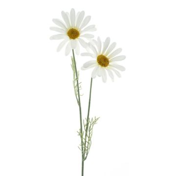 Dekozweig Margerite SOPY, weiß, 55cm Dekozweig Margerite SOPY, weiß, 55cm