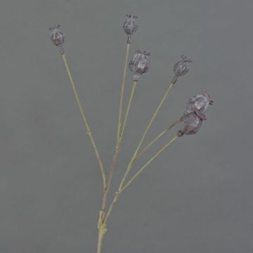 Deko Mohnkapseln ASUMAN, dunkelbraun, 70cm, Ø2-3cm