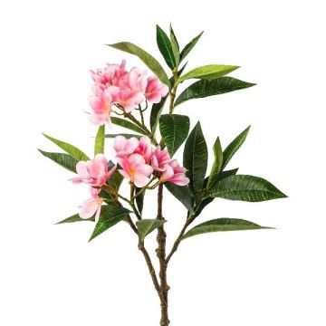 Künstlicher Zweig Frangipani DRIFEN, rosa, 110cm