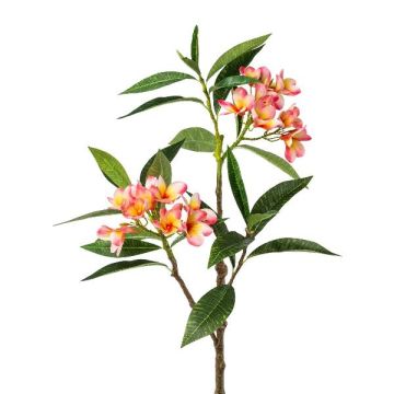 Künstlicher Zweig Frangipani DRIFEN, gelb-rosa, 110cm