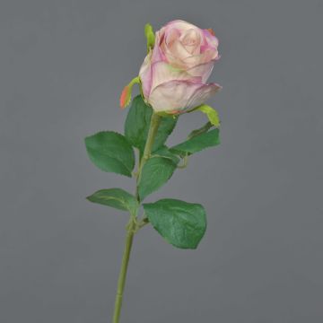 Deko Blume Rose KLONI, rosa-creme, 50cm, Ø5,5cm