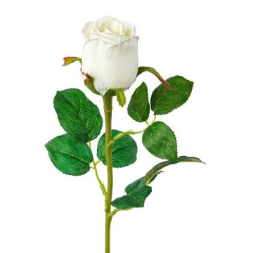 Deko Blume Rose KLONI, weiß, 50cm, Ø5,5cm Deko Blume Rose KLONI, weiß, 50cm, Ø5,5cm