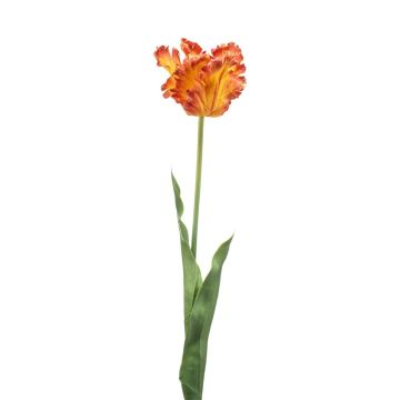 Künstliche Papageientulpe LUNIA, orange-gelb, 70cm Künstliche Papageientulpe LUNIA, orange-gelb, 70cm