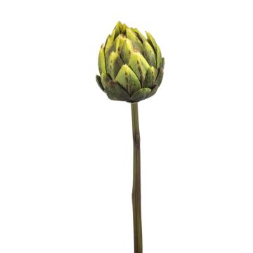 Deko Gemüse Artischocke ARIGATO, grün, 60cm Deko Gemüse Artischocke ARIGATO, grün, 60cm