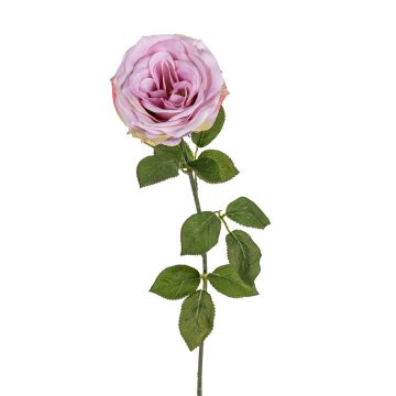 Kunstblume Rose ELISSIA, lila, 65cm Kunstblume Rose ELISSIA, lila, 65cm