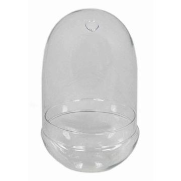 Glasglocke JAMAE, transparent, 30cm, Ø17,5cm